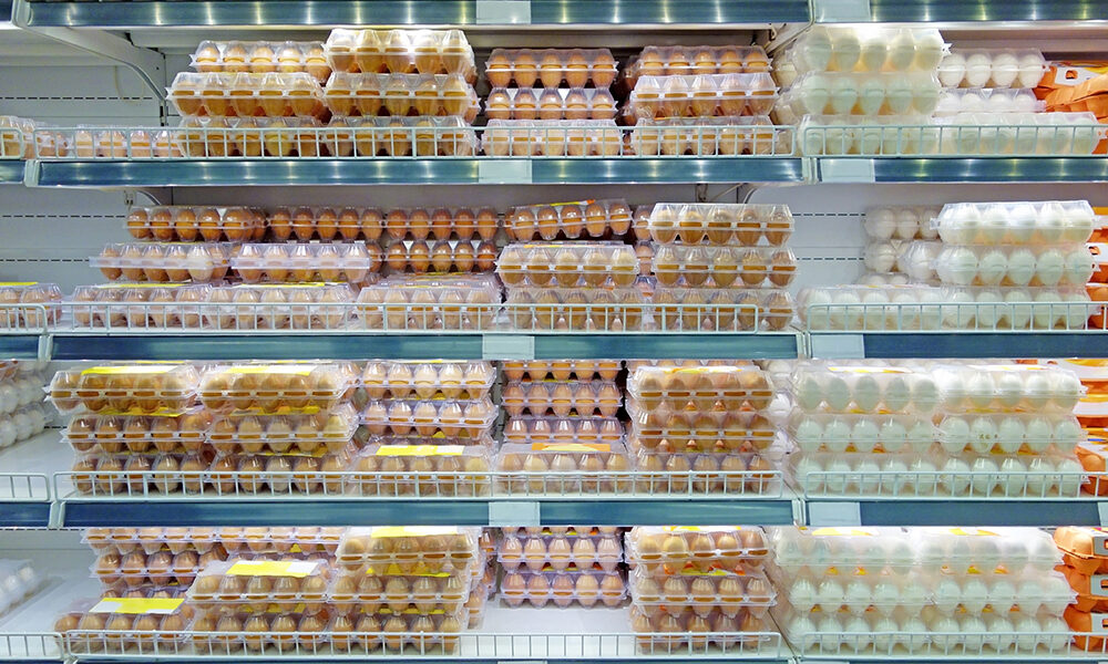 Quando scade davvero un prodotto alimentare