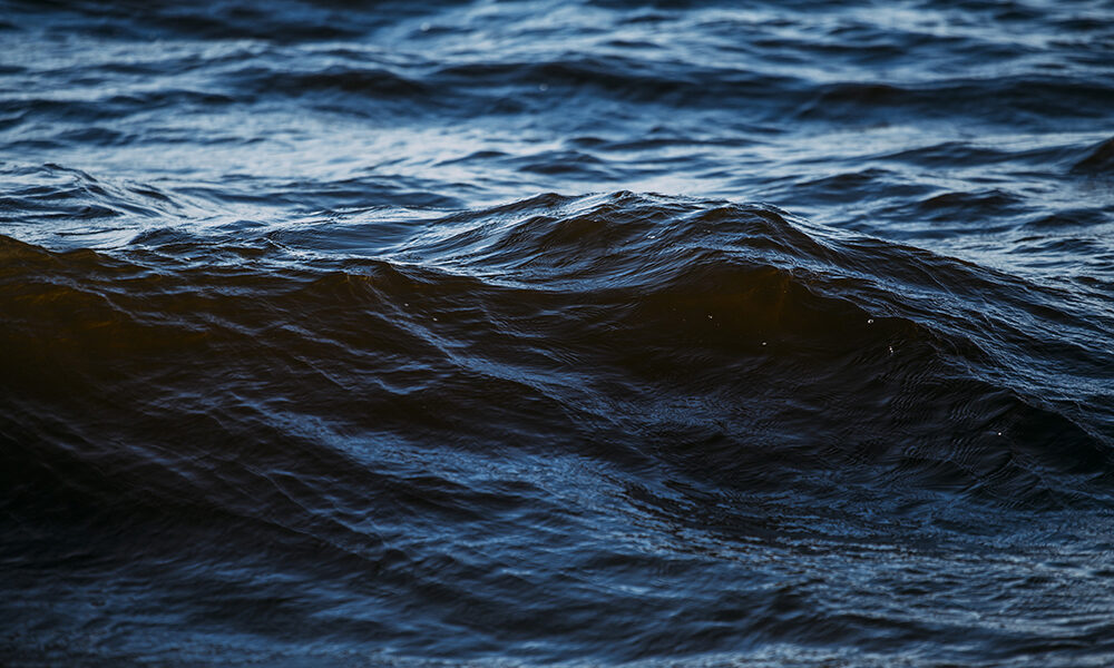 Mediterraneo nostrum