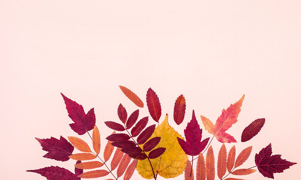 Autunno, la stagione della Terra