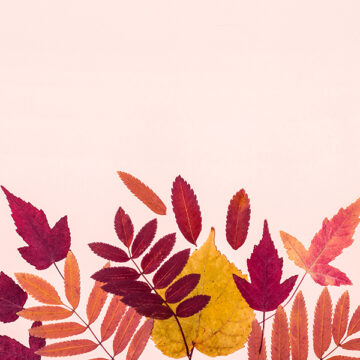 Autunno, la stagione della Terra