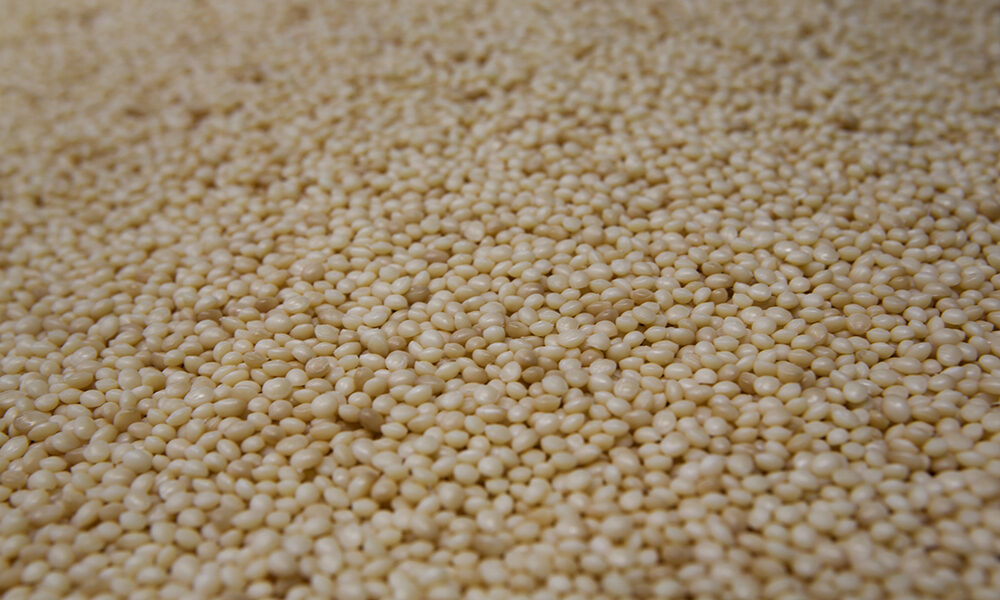 Economia circolare: dalla terra alla terra