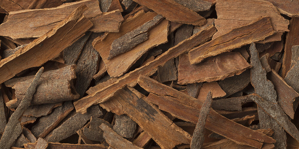 Cosa mangiare lo dice la genetica