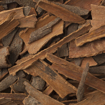 Cosa mangiare lo dice la genetica