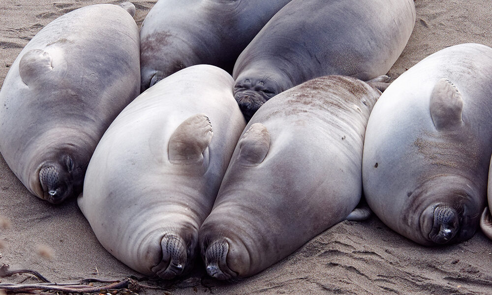 Condividere  emozioni fa bene al lavoro