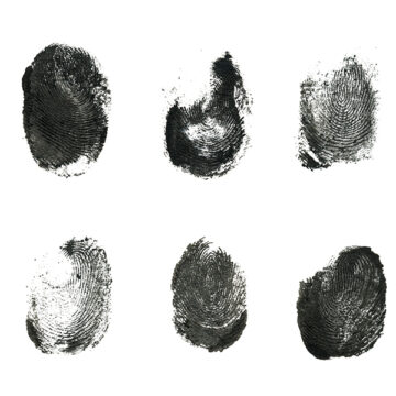 Perché siamo tutti esseri speciali