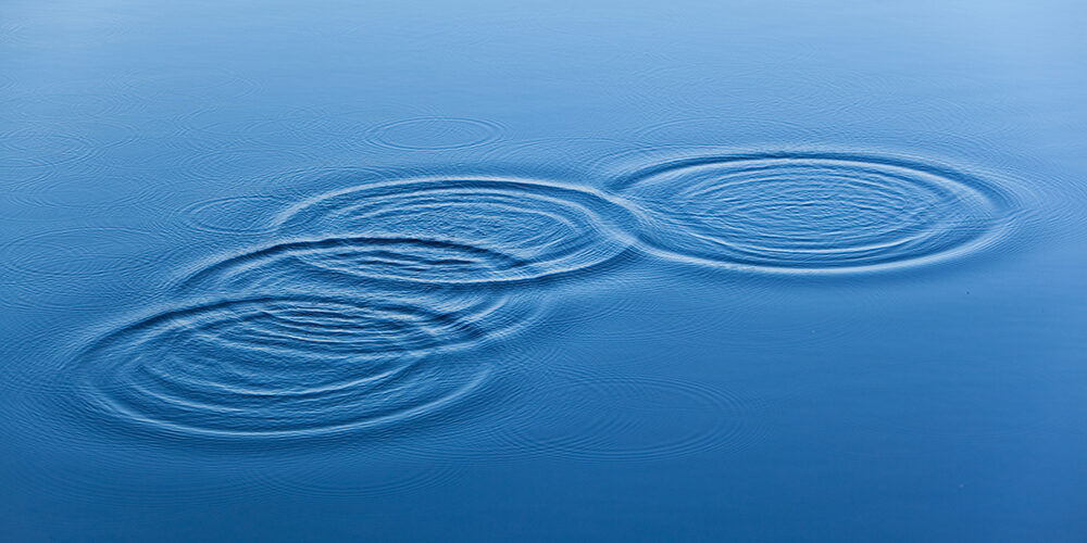 L’ecologia si legge e si gioca