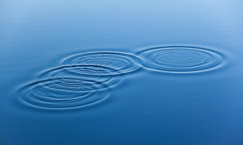 L’ecologia si legge e si gioca