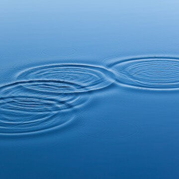 L’ecologia si legge e si gioca