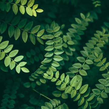 E3CI, un’arma in più contro i rischi climatici