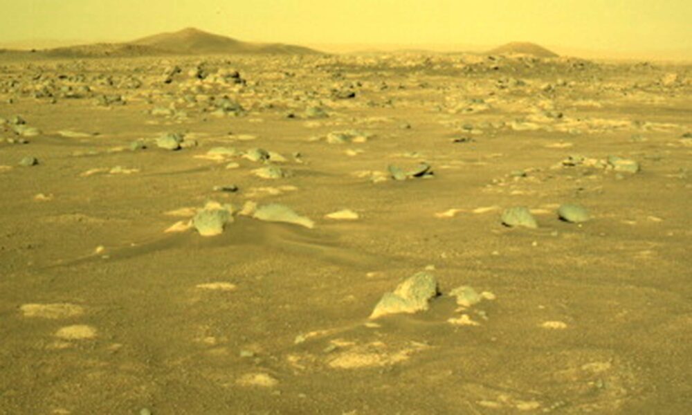 La perseveranza del purpose