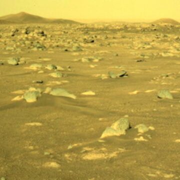 La perseveranza del purpose