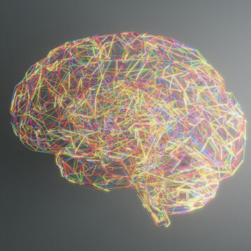 Benessere digitale e dove trovarlo