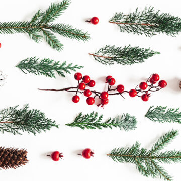 A Natale la plastica non va in tavola